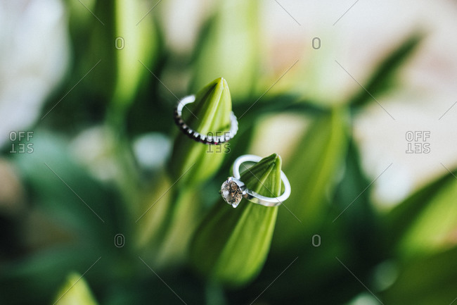 Wedding and engagement rings displayed on two flowers