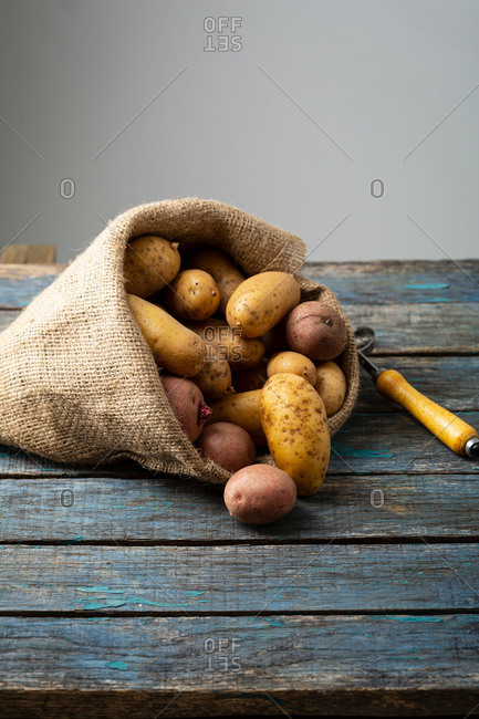 Burlap sack bag full of potatoes on a rustic wooden surface