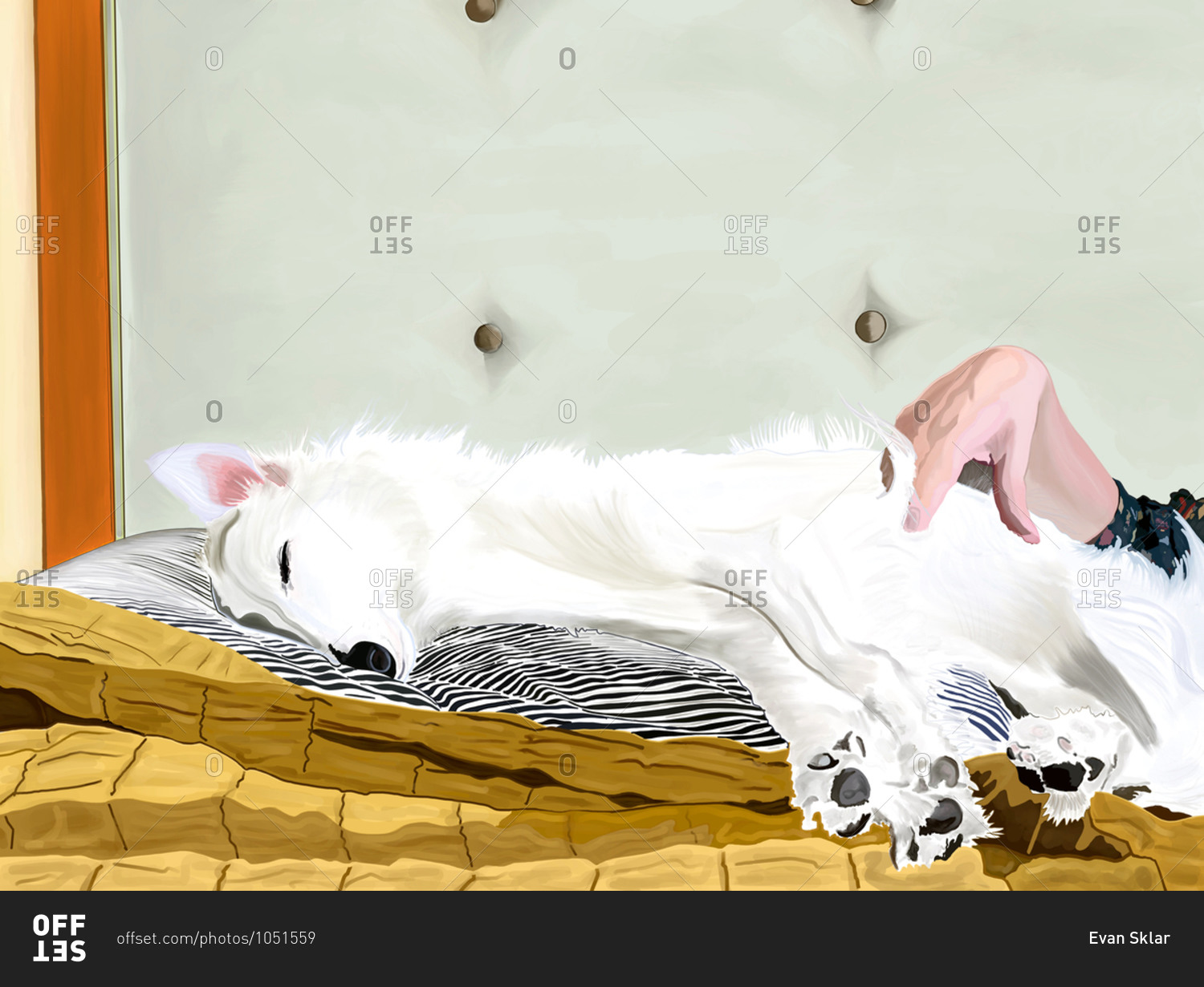 Fluffy white dog sleeping on pillow