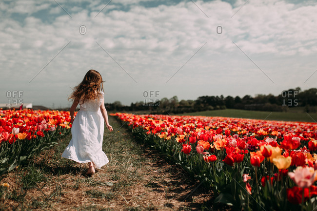 Girl wearing a long white dress walking in a field filled with colorful tulips