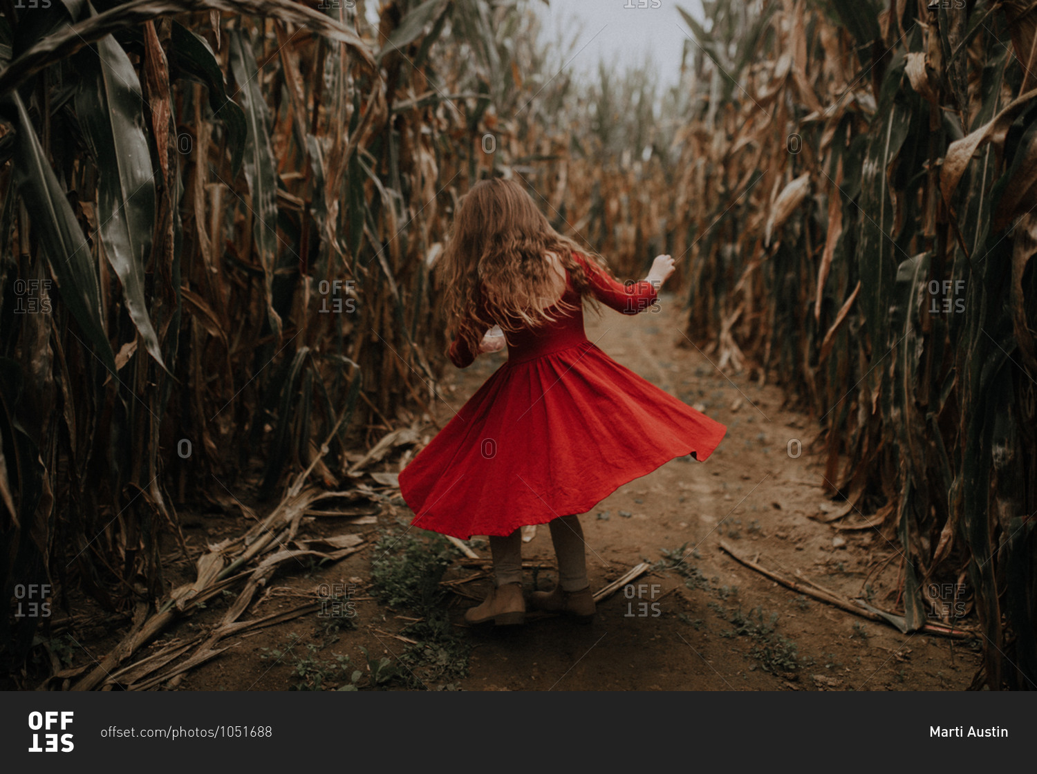Girl wearing a red dress walking in a cornfield at sunset