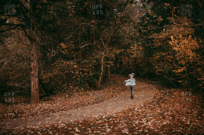 Rear view of a young girl walking down a path in a park with autumn colored trees