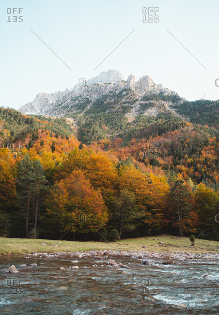 Autumnal Oza forest with a rugged mountain in background