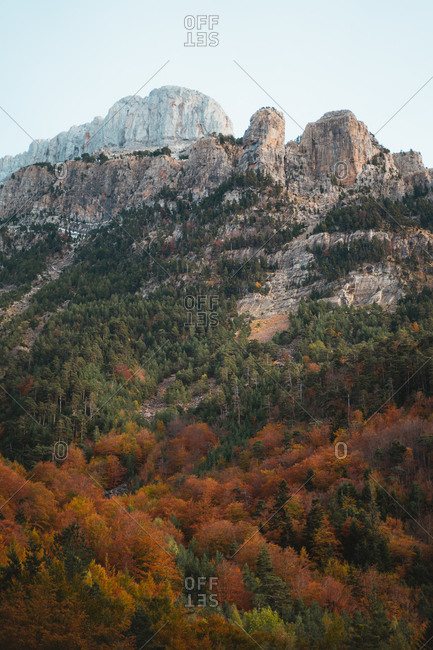 Autumnal Oza forest with a rugged mountain in background