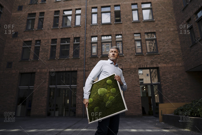 Businessman carrying moss frame while standing against building