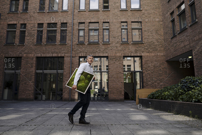 Businessman carrying moss frame while walking against building
