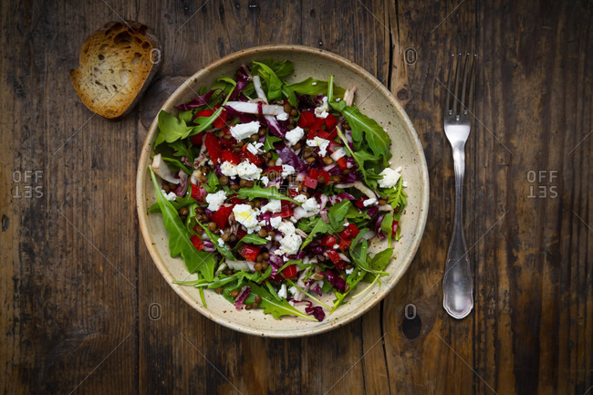 Bowl of vegetable salad with lentils- arugula- red bell pepper- feta cheese and radicchio