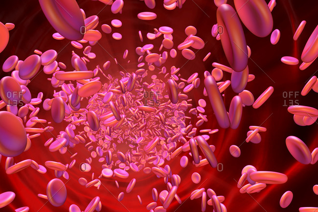 3D rendering illustration of hemoglobin cells floating in blood stream