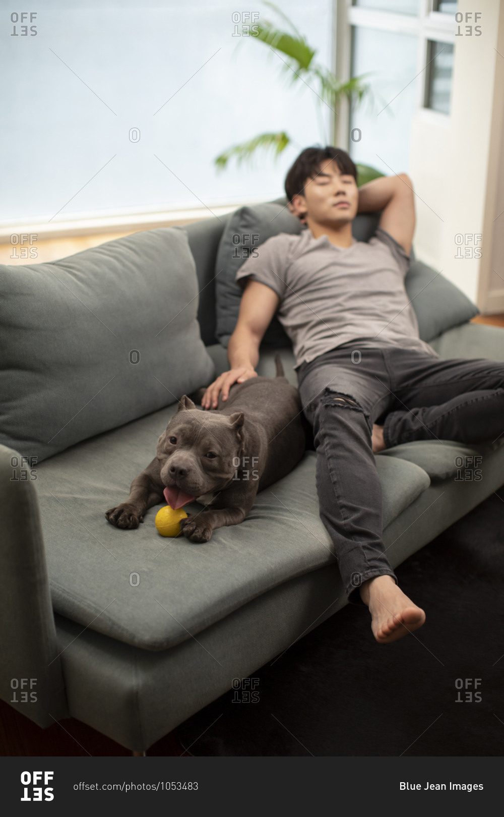 Young Chinese man with pet dog on sofa