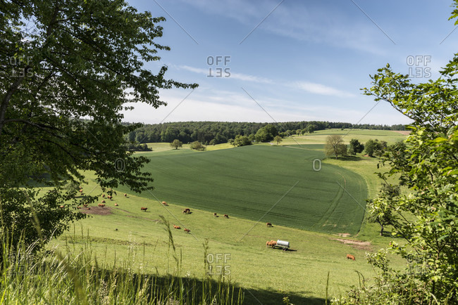 Lauterbach, breitenbrunn, hessen, germany. field landscape in odenwald.