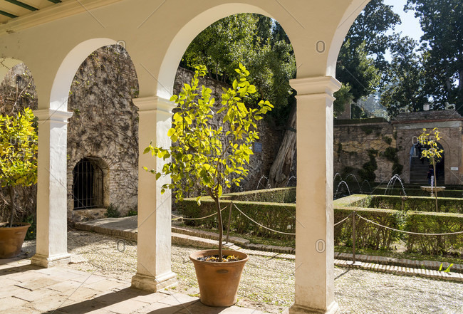 Spain, Granada, generalife, garden, patio de la sultana