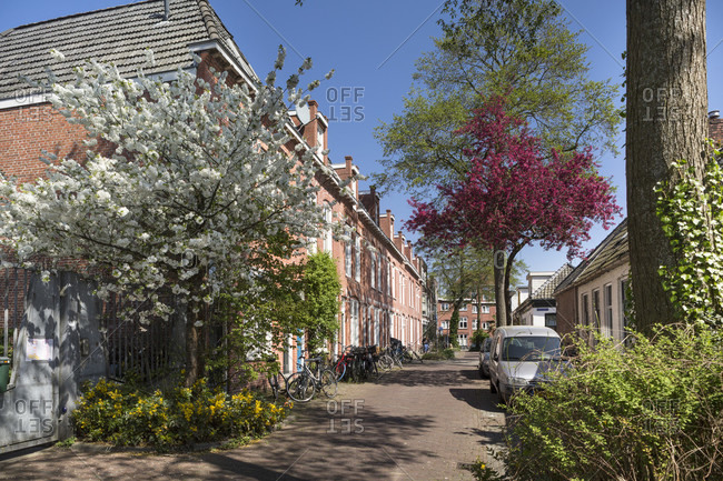 View of a small street in groningen, the netherlands