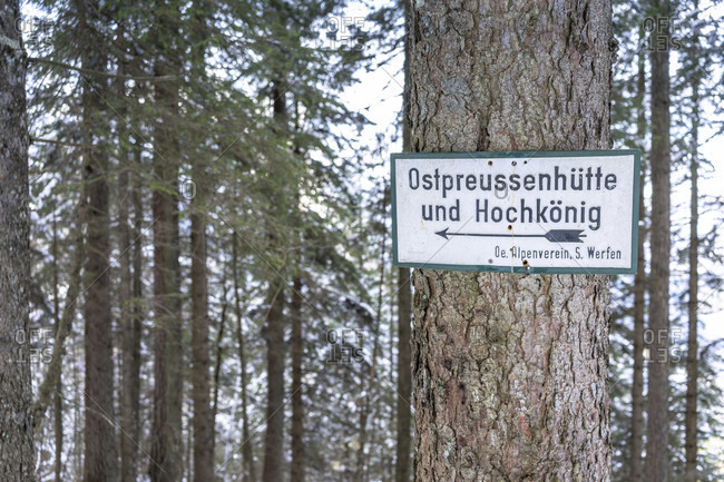 February 15, 2020: europe, Austria, berchtesgaden alps, salzburg, werfen, ostpreussenhütte, signpost to the ostpreussenhütte in the mountain forest