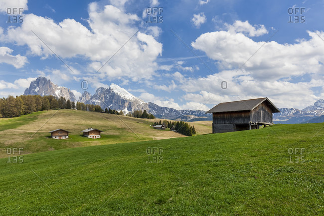 Alpe di siusiseiser alm, characteristic mountain barns with sassolungo / langkofel and the sassopiatto / plattkofel in the background, dolomites, kastelruth, south tyrol, italy