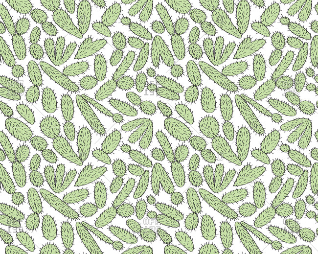 Green spiky cactus pattern illustration
