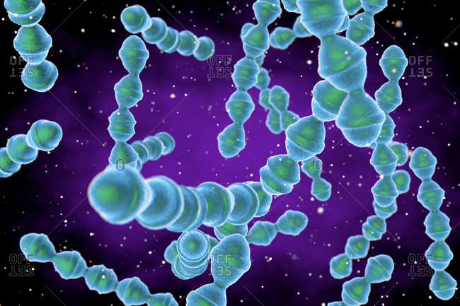 Illustration of Staphylococcus pneumoniae bacteria
