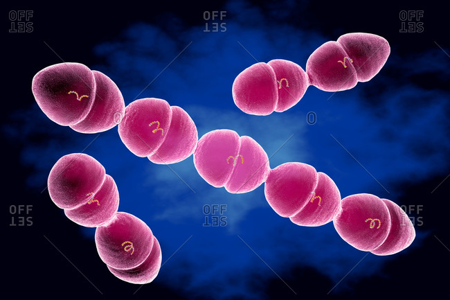 Illustration of Streptococcus mutans bacteria