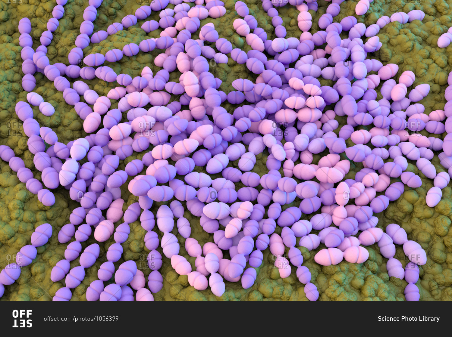 illustration-of-streptococcus-mutans-bacteria-stock-photo-offset