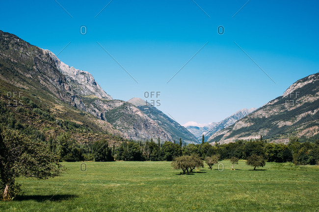 Greenery on lush small meadow against rocky mountains in valley under blue cloudless sky in sunlight