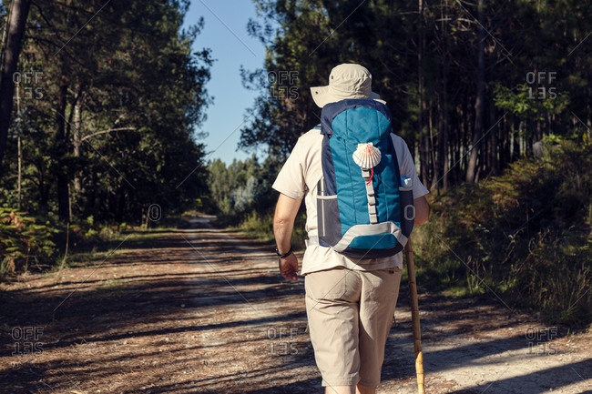 Back view of unrecognizable male traveler with rucksack and wooden stick standing on rough path between trees in summer