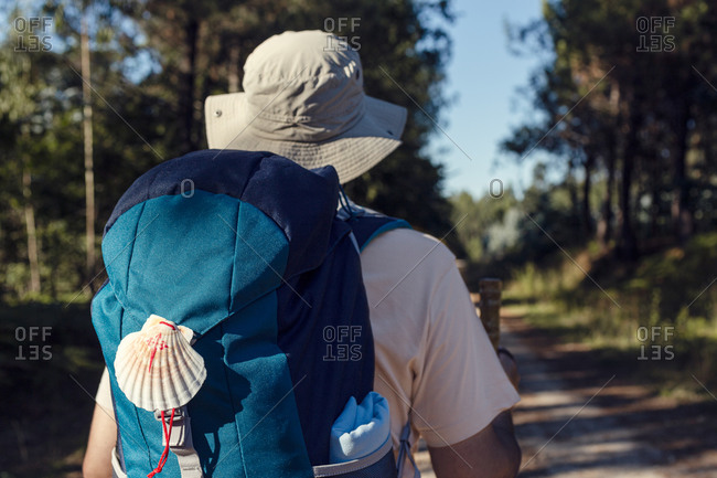 Back view of unrecognizable male traveler with rucksack and wooden stick walking on rough path between trees in summer