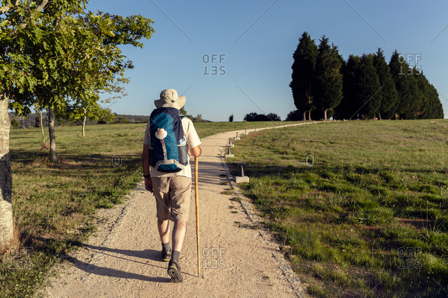 Back view of unrecognizable male traveler with rucksack and wooden stick walking on rough path between trees in summer