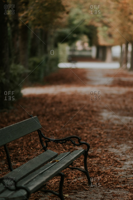 Old wooden bench in alley covered with brown fallen leaves on cloudy day in park