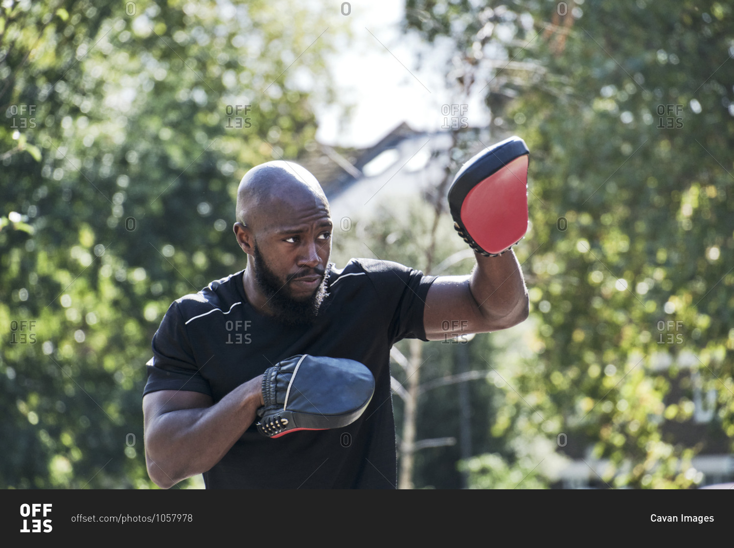 Portrait of muscular male coach with red boxing pad gloves