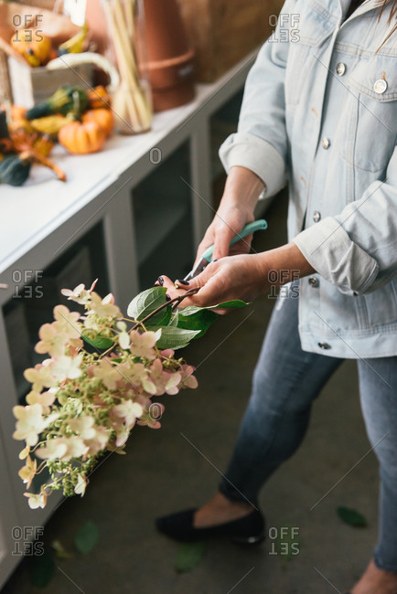 Close up of florist cutting stems with pruning sheers in flower shop