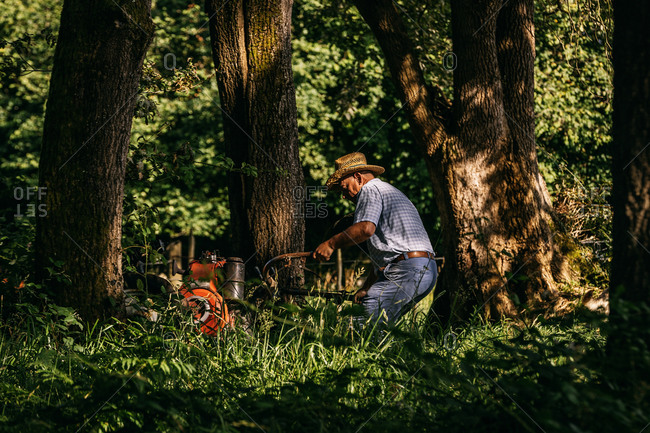 Old farmer working with a mower surrounded by trees on sunny day