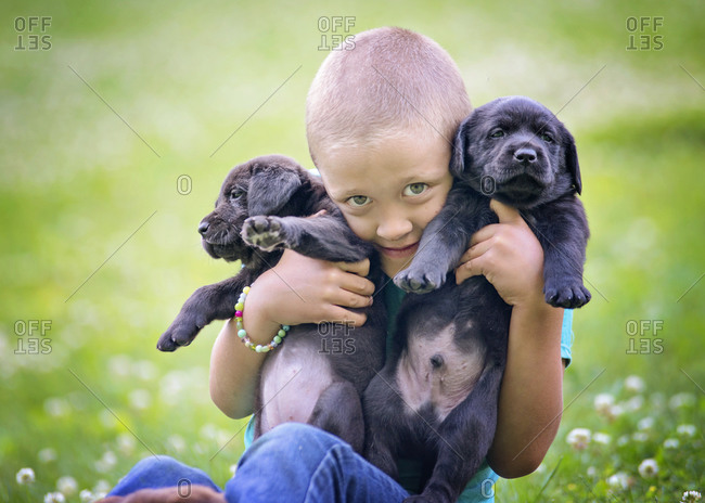 Young boy holding two lab puppies