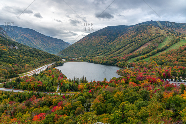 Trees changing color in the nh white mountains during peak foliage.