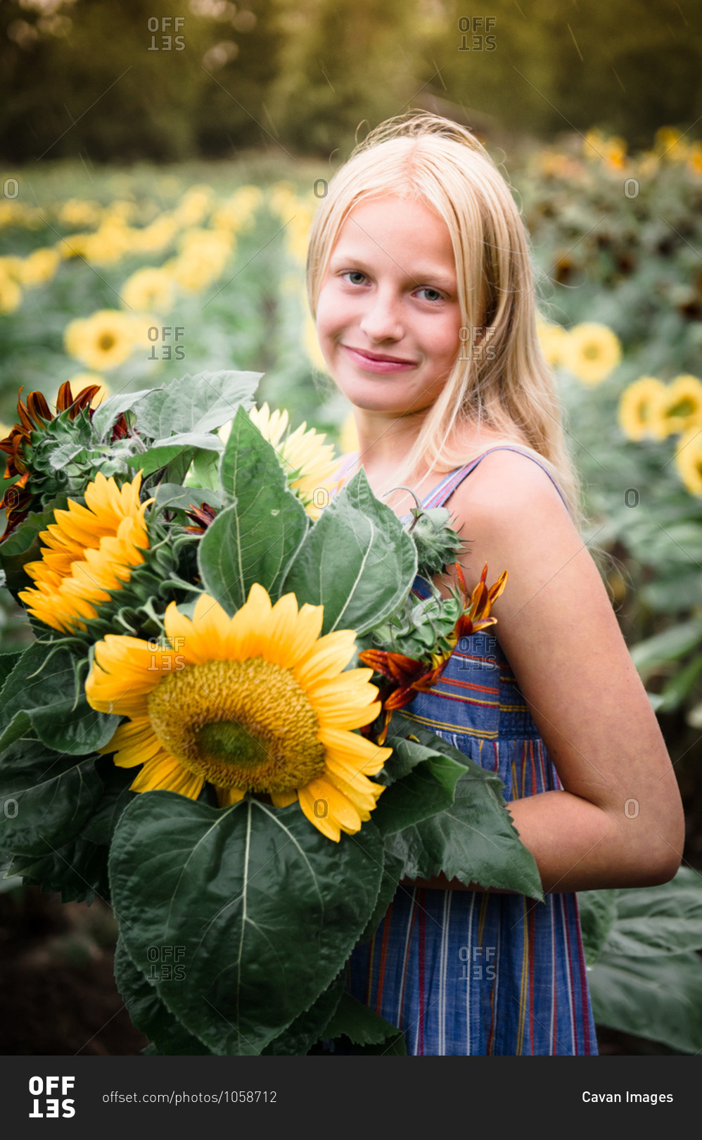 Young Girl Holding Red and Yellow Sunflowers in a Sunflower Field