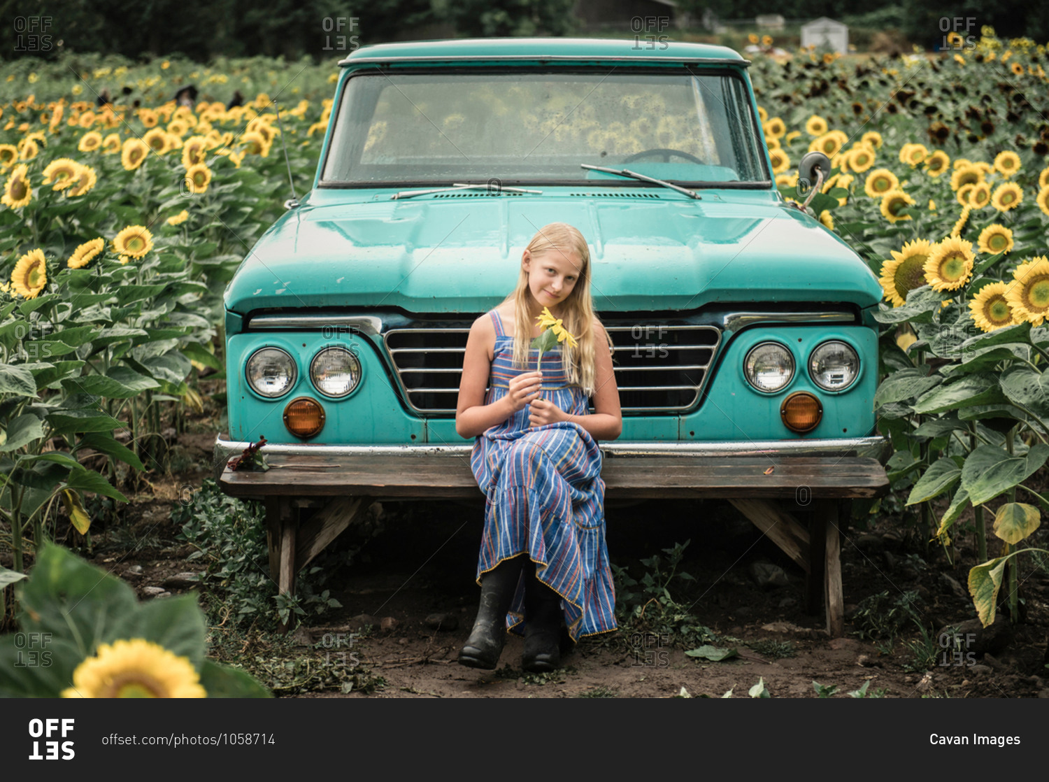 Young Girl Holding Sunflower by Vintage Truck in Sunflower Field