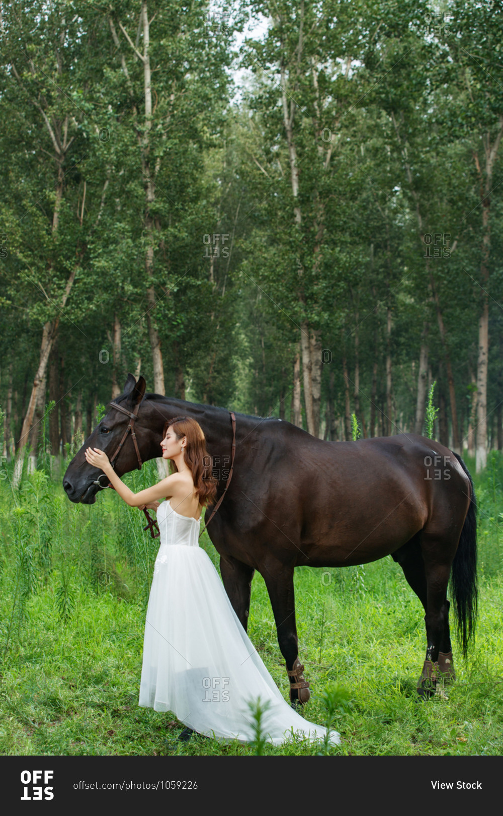 Outdoor dress young women and horses