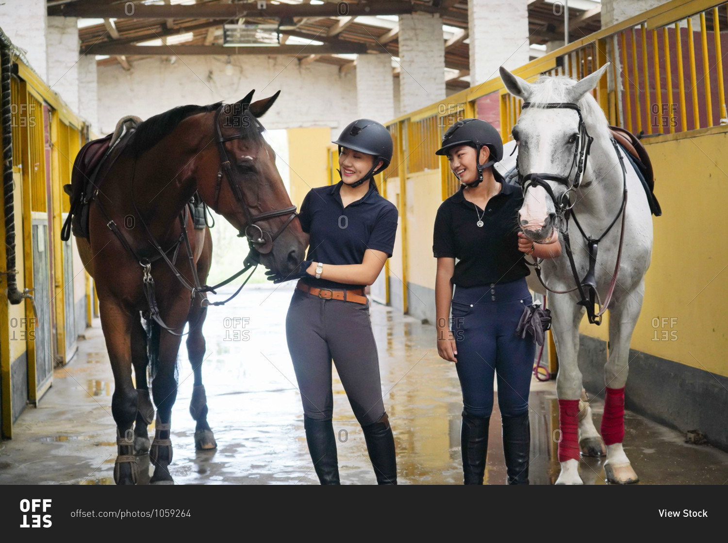 The horse stable to chat happy sisters stock photo -\
OFFSET