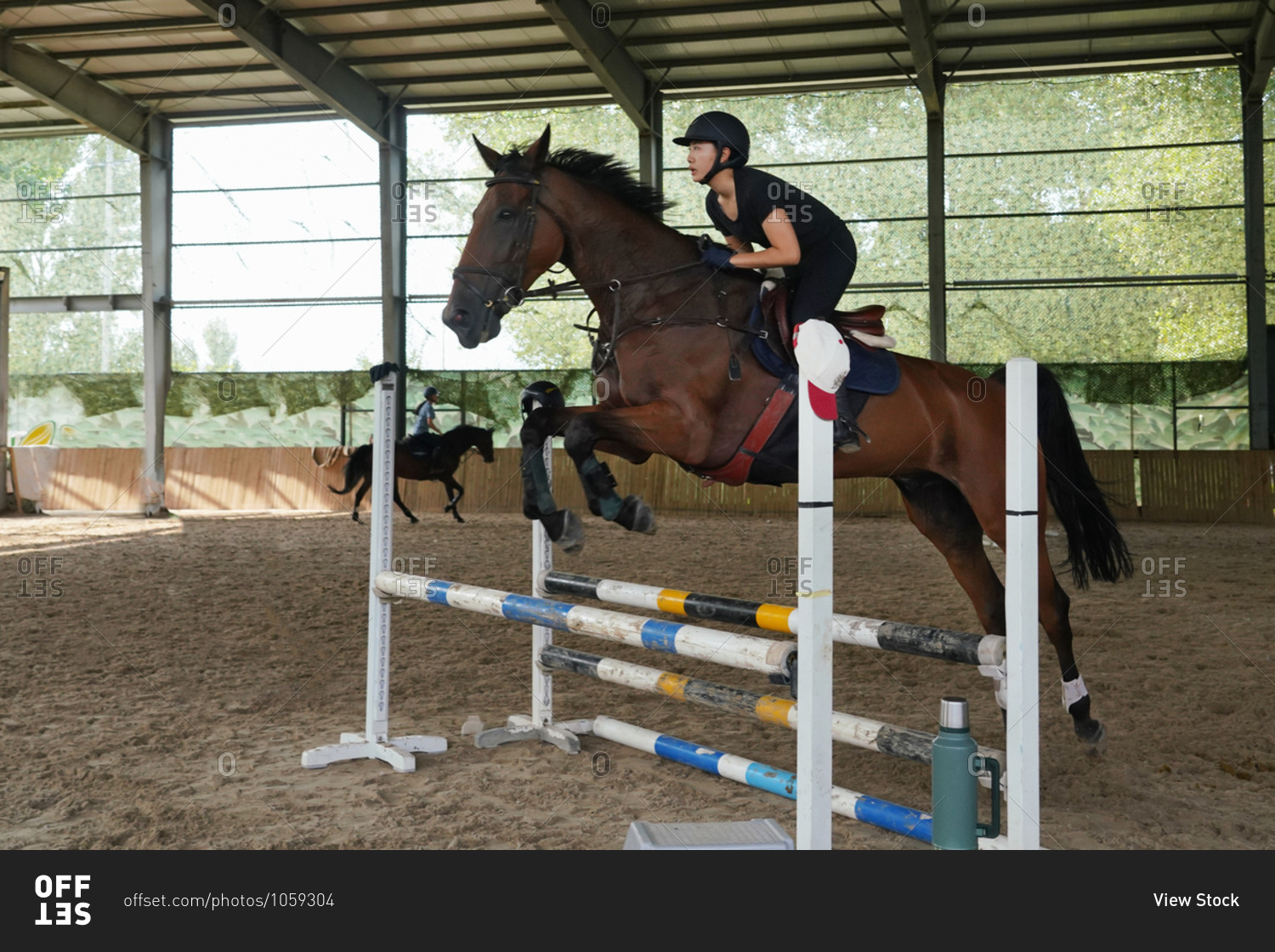 Riding a horse jump barrier bar young woman stock photo -\
OFFSET