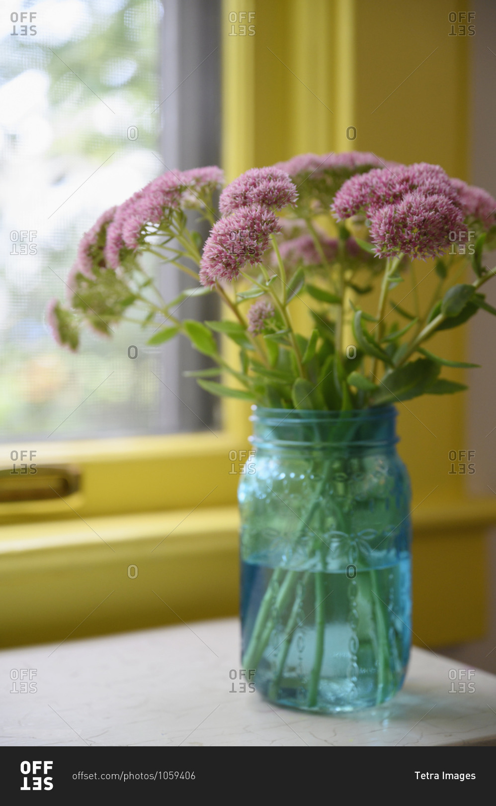 Pink flowers in vase on table stock photo - OFFSET