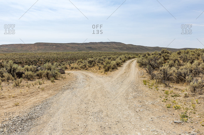 USA, Idaho, Bellevue, Forked dirt road in desert