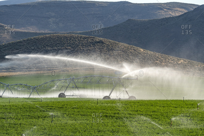 USA, Idaho, Bellevue, Center pivot irrigation system sprinkling water in field