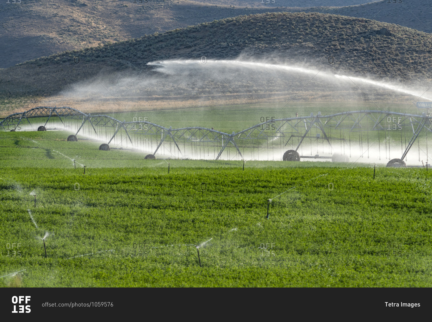USA, Idaho, Bellevue, Center pivot irrigation system sprinkling water in field