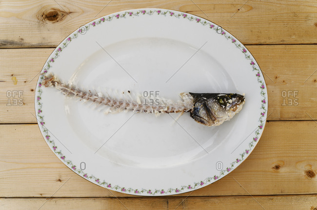 Fish skeleton on a plate