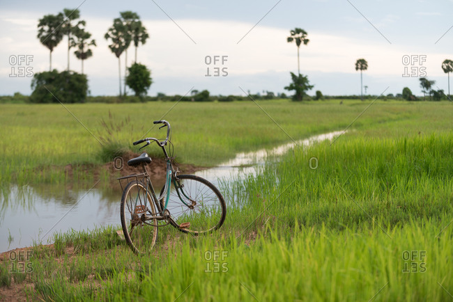 Farmers bicycle left in paddy field near stream of water, Cambodia.