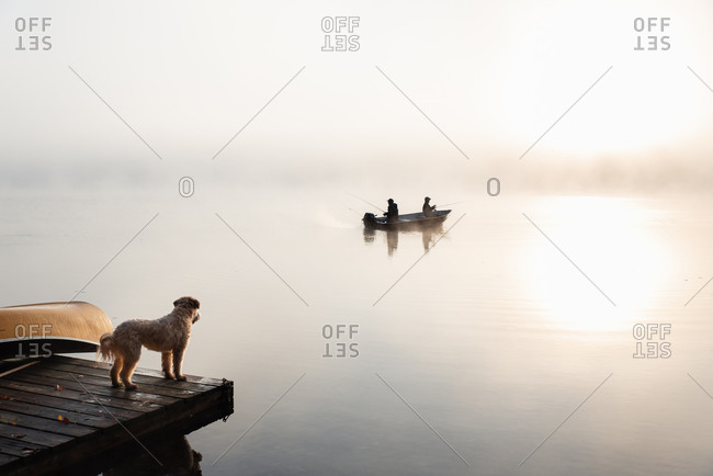 Two people in fishing boat in the fog with dog watching from the dock.