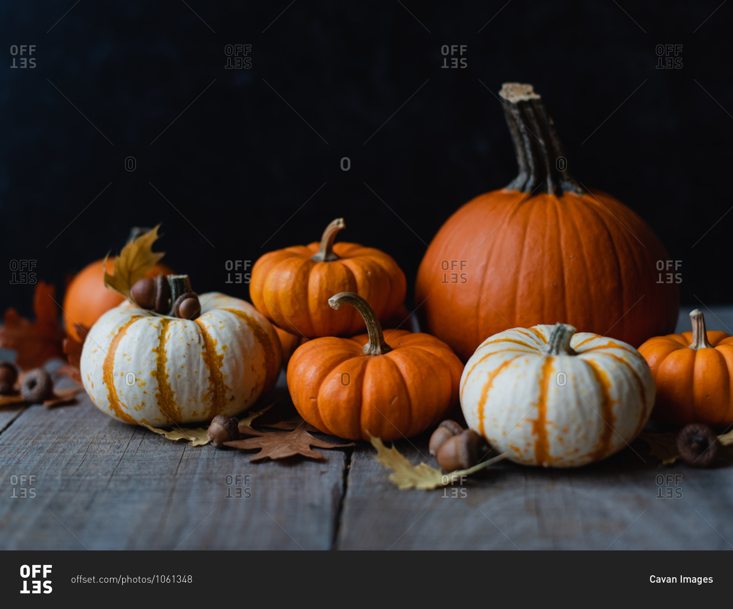 Still life of orange and white pumpkins on rustic wooden table.