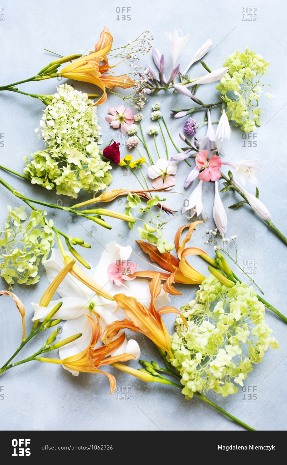 Variety of cut flowers on a light blue background