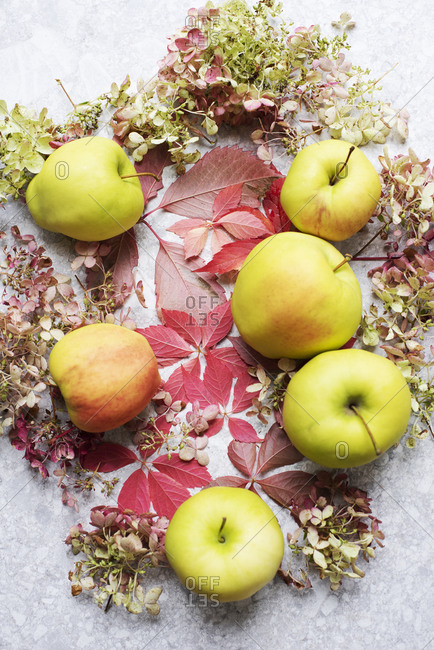 Apples and Autumn leaves and flowers, overhead view
