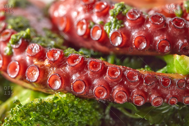 Macro view cooked octopus tentacles with broccoli.