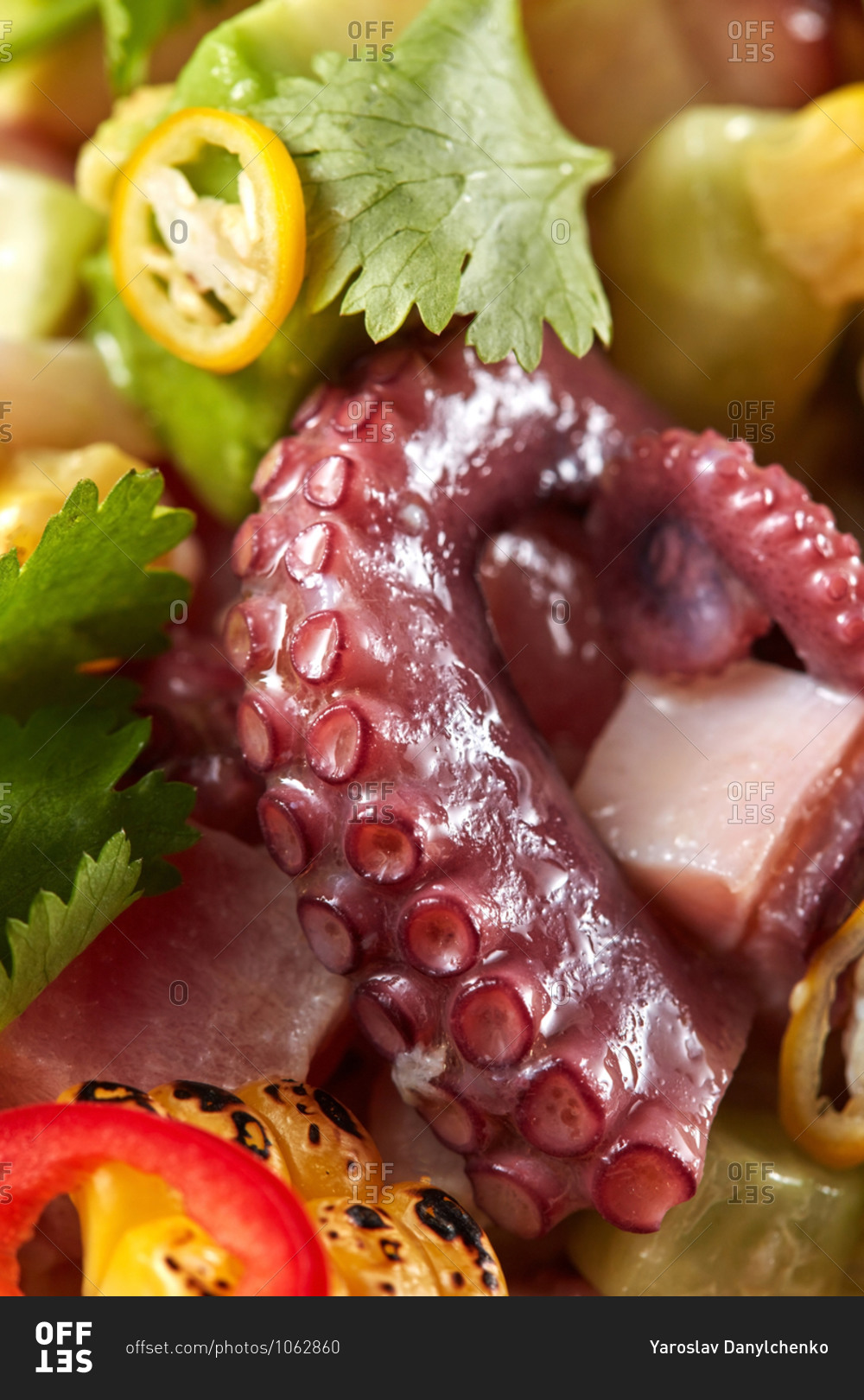 Seafood background with octopus and organic vegetables.