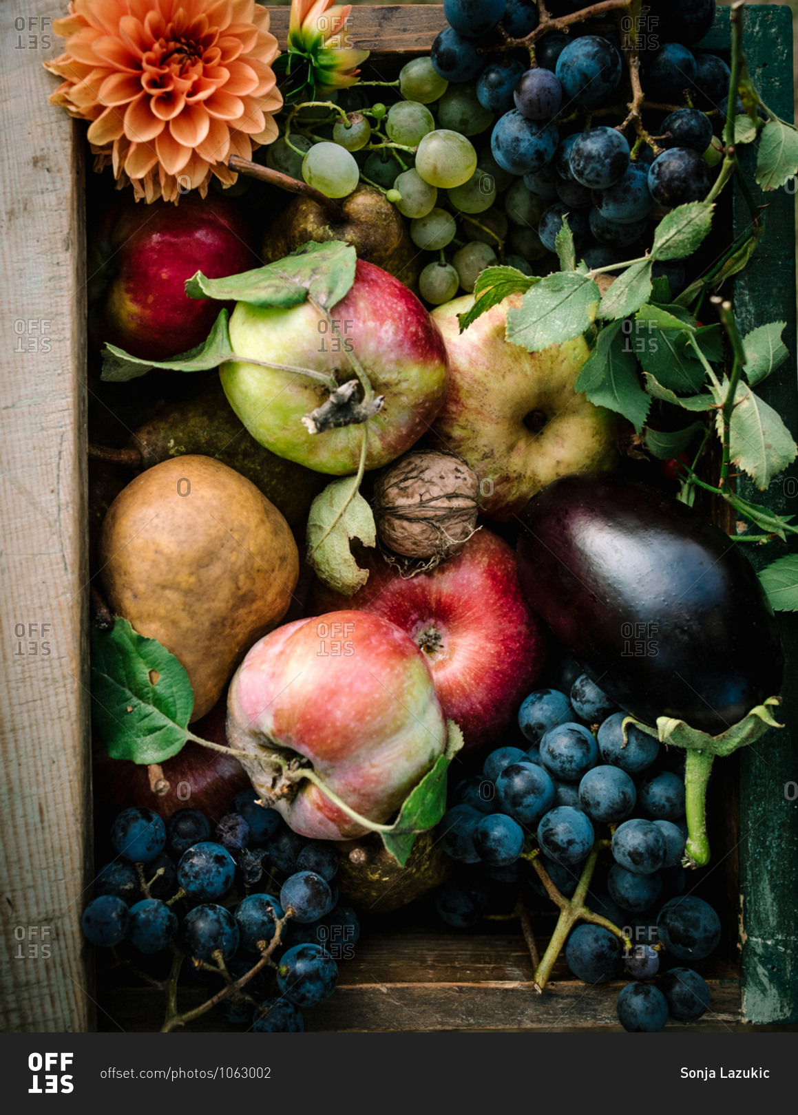 Overhead view of fruits and veggies in a wooden box